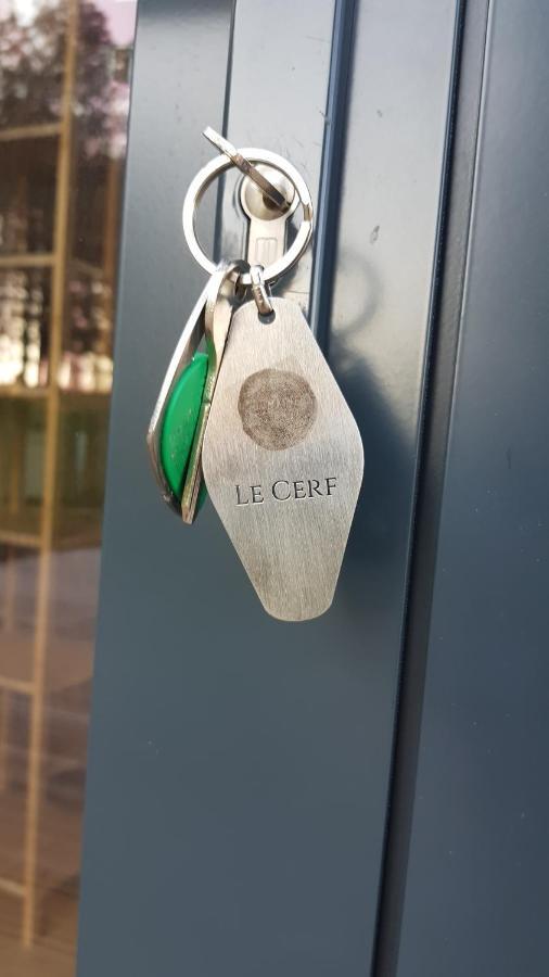Le Domaine Des Anges, Ecolodge Le Controis-en-Sologne Exterior photo